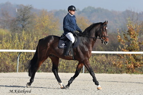 2870 Origi De Mont (Origi d´O x Atlas)
